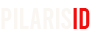 PILAR INFORMASI